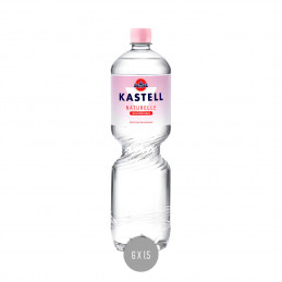 Kastell Naturelle PET 6x1,5 (MW)