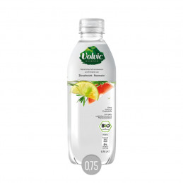 Volvic Essence Bio Zitrusfrucht-Rosmarin (EW)