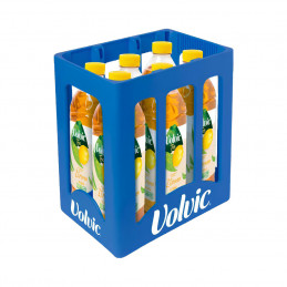 Volvic Grüner Tee Zitrone (MW)