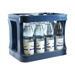 Steinsieker Classic PET 12x1,0 (MW)