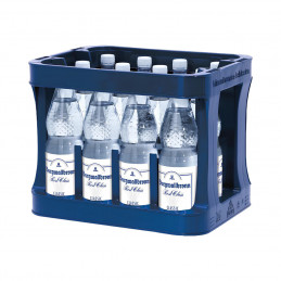 Burgwallbronn Classik PET 12x1,0 (MW)