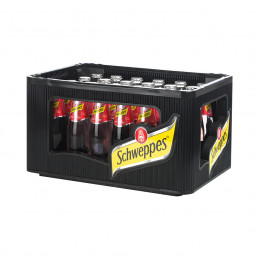 Schweppes Wild Berry 24x0,2 (MW)