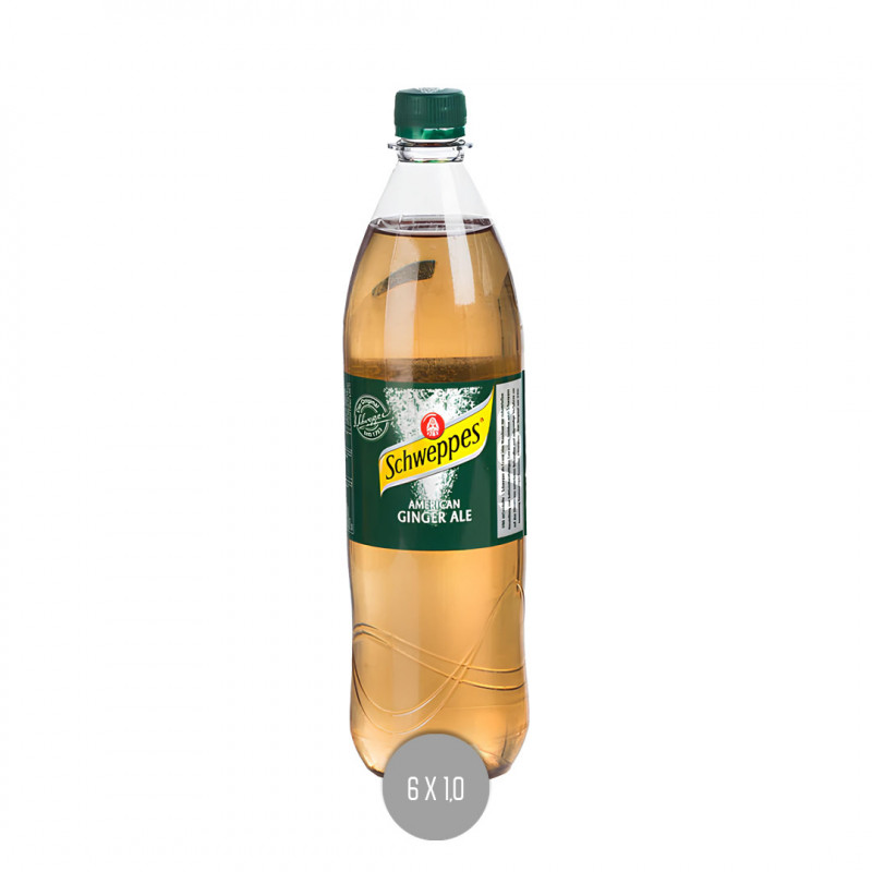 Schweppes Ginger Ale 6x1,0 (MW)