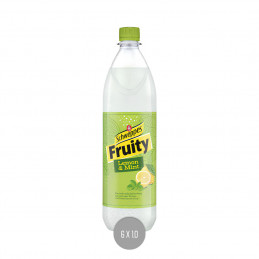 Schweppes Fruity Lemon & Mint 6x1,0 (MW)