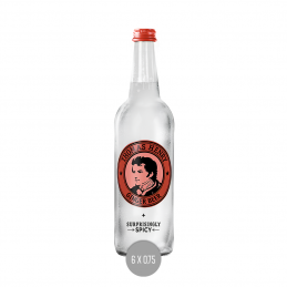 Thomas Henry Spicy Ginger Beer 6x0,75 (MW)