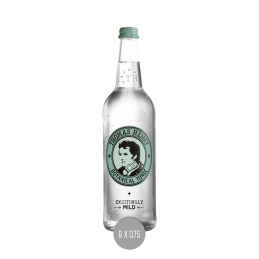 Thomas Henry Botanical Tonic 6x0,75 (MW)