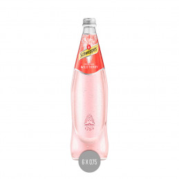 Schweppes Wild Berry 6x0,75 (MW)