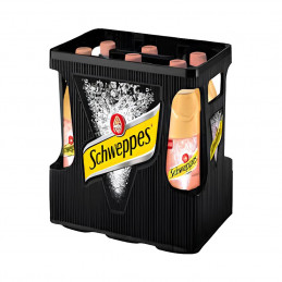 Schweppes White Peach 6x1,0 (MW)
