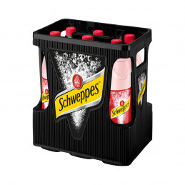 Schweppes Wild Berry 6x1,0 (MW)