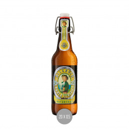 Allgäuer Büble Radler 20x0,5 (MW)