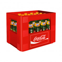 Fanta Orange 20x0,5 (MW)