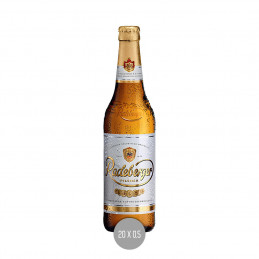 Radeberger 20x0,5 (MW)