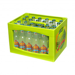 Salitos Ice 24x0,33 (MW)