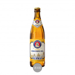 Paulaner Münchner hell 20x0,5 (MW)
