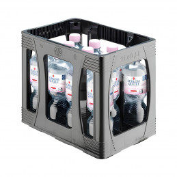Schloss Quelle Naturelle PET 11x0,5 (MW)