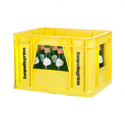 Acqua Panna 24x0,25 (MW)