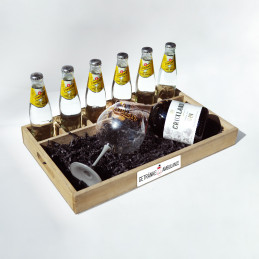 Holzkiste mit Gin Cruxland & Tonic