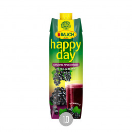 Happy Day schwarzer Johnnisbeernektar