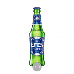 Efes 6x0,33 (MW)