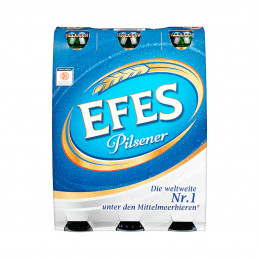 Efes 6x0,33 (MW)