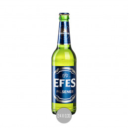 Efes 24x0,33 (MW)