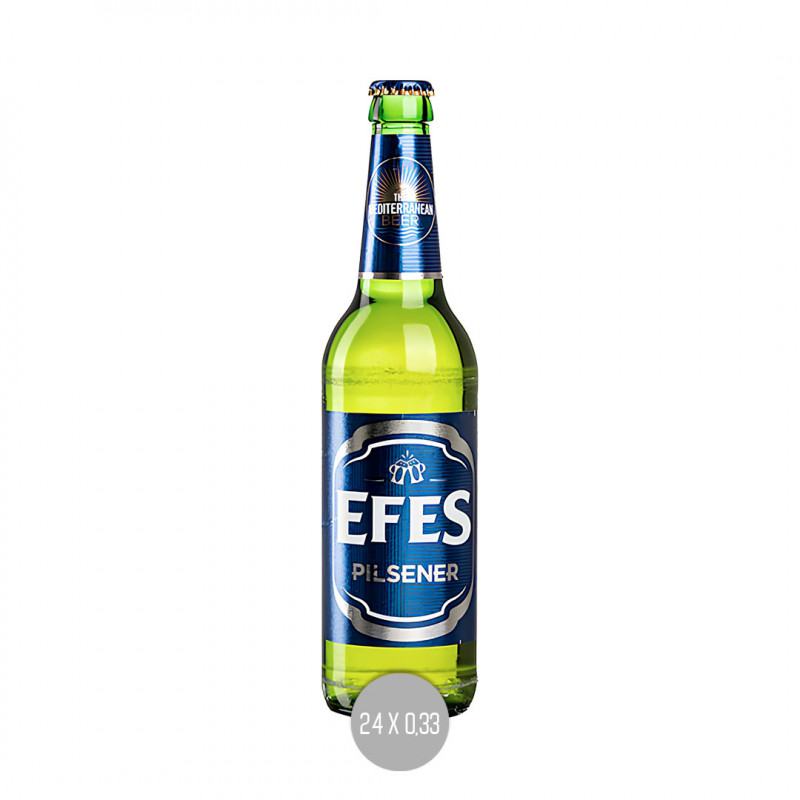 Efes 24x0,33 (MW)