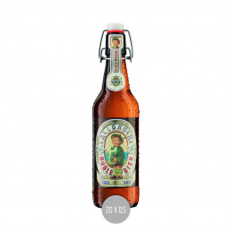 Allgäuer Büble Weizen 20x0,5 (MW)