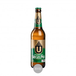 Dortmunder Union Siegel Pils 20x0,5 (MW)
