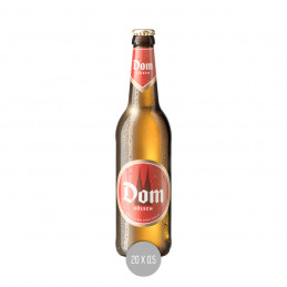Dom Kölsch 20x0,5 (MW)