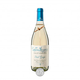 Cantina Zaccagnini Pinot Grigio