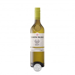 Ramon Verdejo