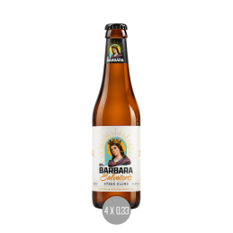 St. Barbara Salvatoris 4x0,33 (MW)